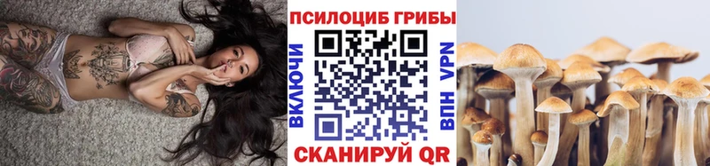 купить наркотики цена  Новокузнецк  Галлюциногенные грибы мицелий 