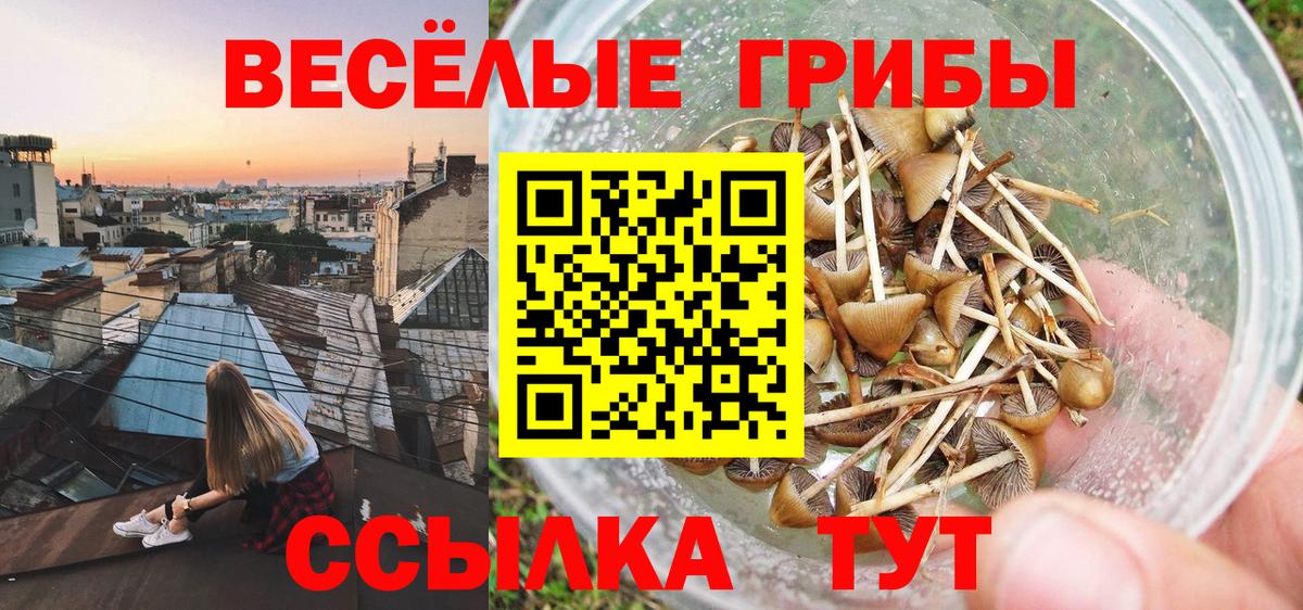 Псилоцибиновые грибы мухоморы  Вход с VPN  Новокузнецк 