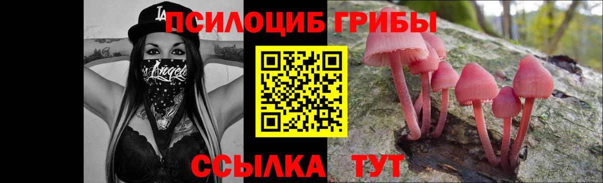 Галлюциногенные грибы ЛСД Новокузнецк