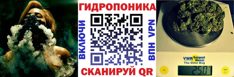 Канабис OG Kush Новокузнецк